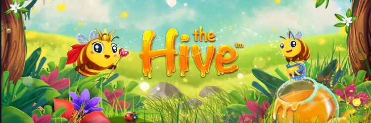 Cyberbingo: $20 Bingo Bonus PLUS 40 Free Spins on the Hive Slot after Sign up (No deposit required)Preview in new tab