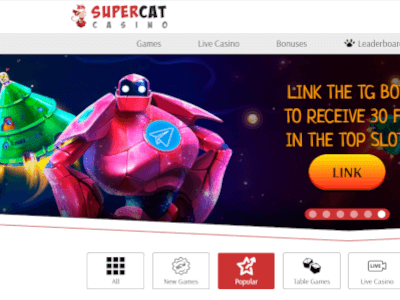 SuperCat Casino: 60 Free Spins No Deposit